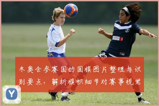 冬奥会参赛国的国旗图片整理与识别要点，解析旗帜细节对赛事视觉呈现影响